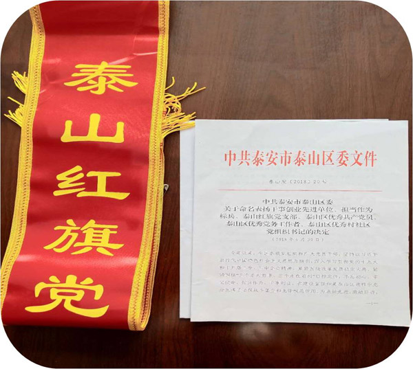 榮獲“紅旗黨支部”光榮稱號